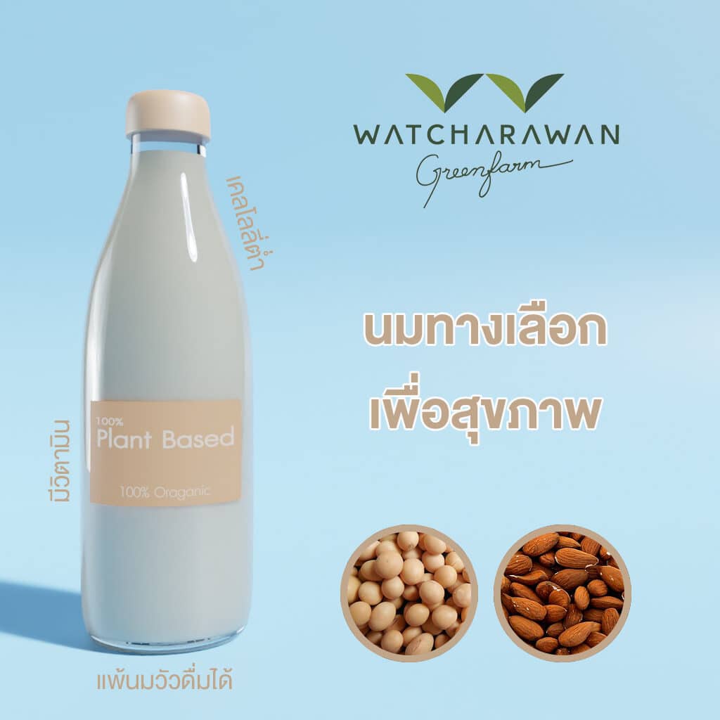 alternative milk