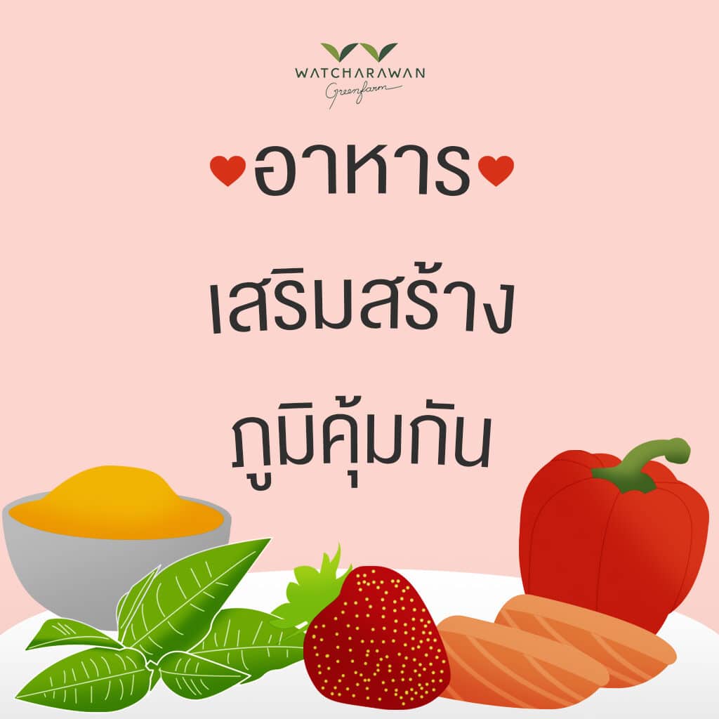 cover 10