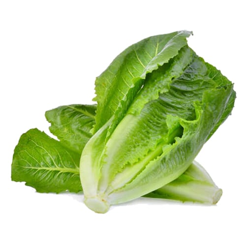 กรีนคอสออร์แกนิค