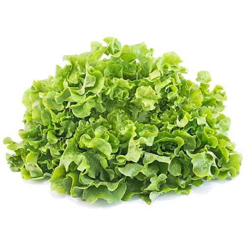 กรีนโอ้คออร์แกนิค