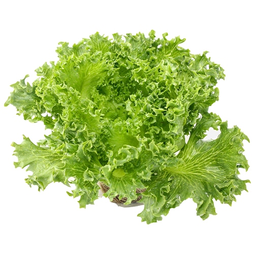 ฟิลเลย์ออร์แกนิค