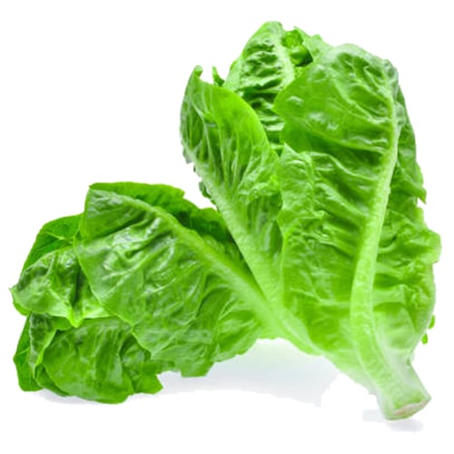 เบบี้คอสออร์แกนิค